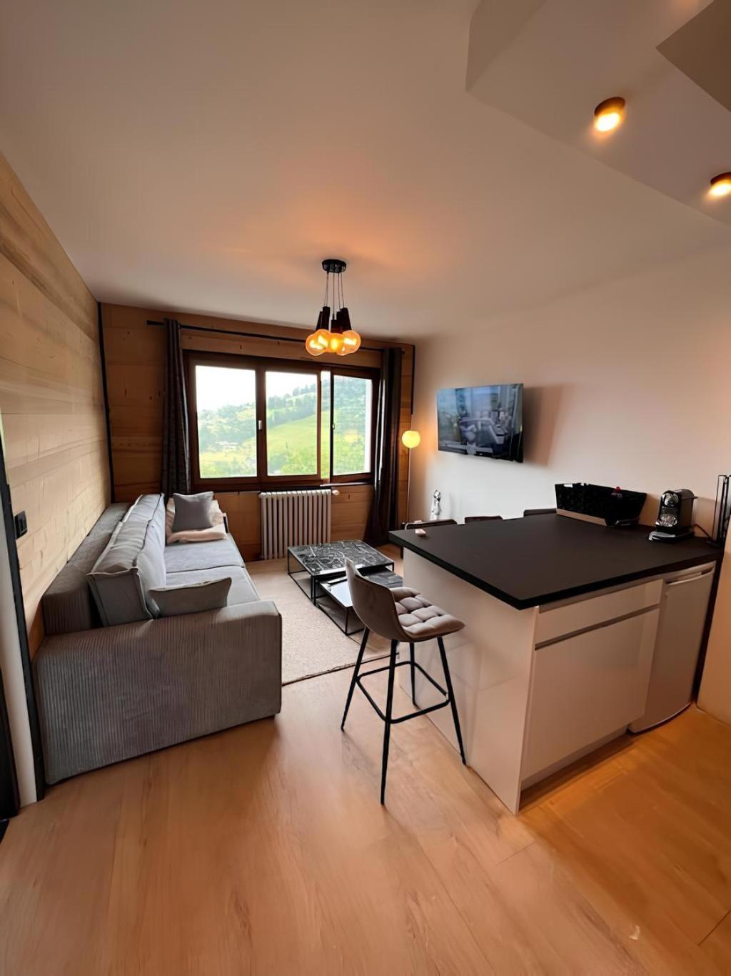 Vue Mont Blanc, Ski Et Village Combloux Ngoại thất bức ảnh